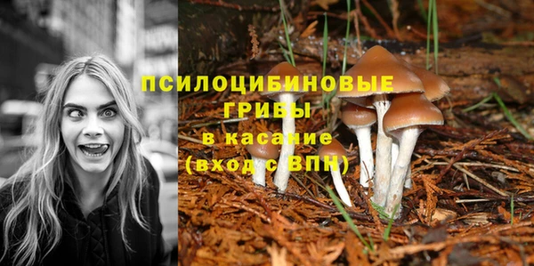 меф Алексин