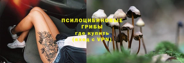 прущие грибы Алексеевка