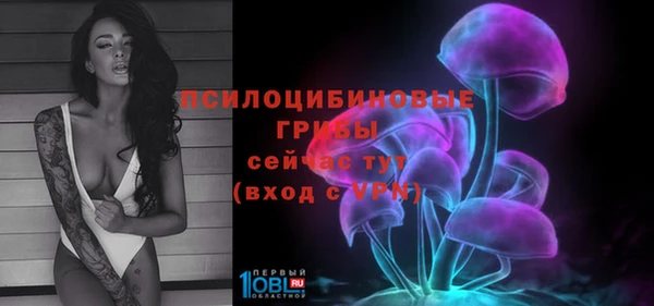 меф Алексин