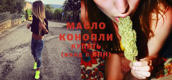 дмт Инта