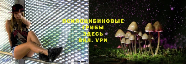 амф Алзамай