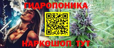 шишки Гусиноозёрск