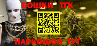 шишки Гусиноозёрск