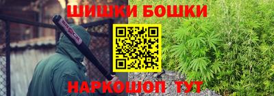 шишки Гусиноозёрск