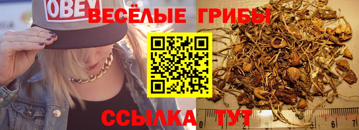 Галлюциногенные грибы прущие грибы Волжский